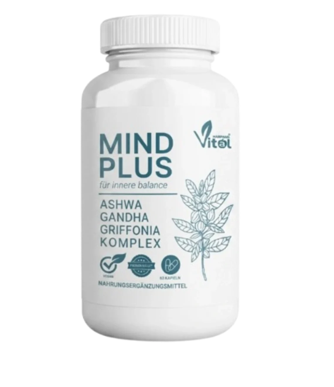 MindPlus